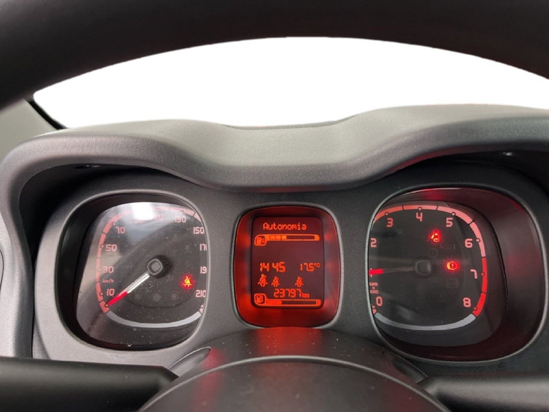 Fiat Panda Cross usata a Torino (14)