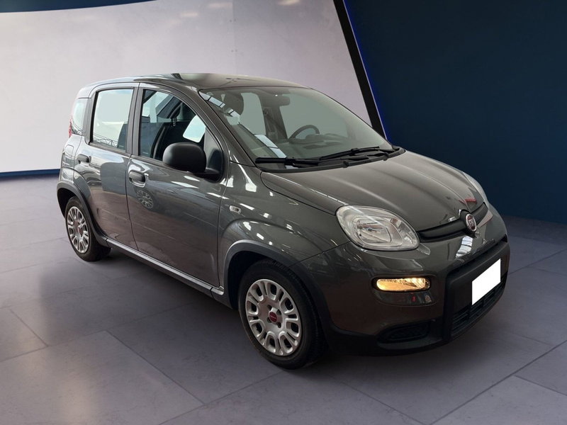 Fiat Panda Cross usata a Torino (2)