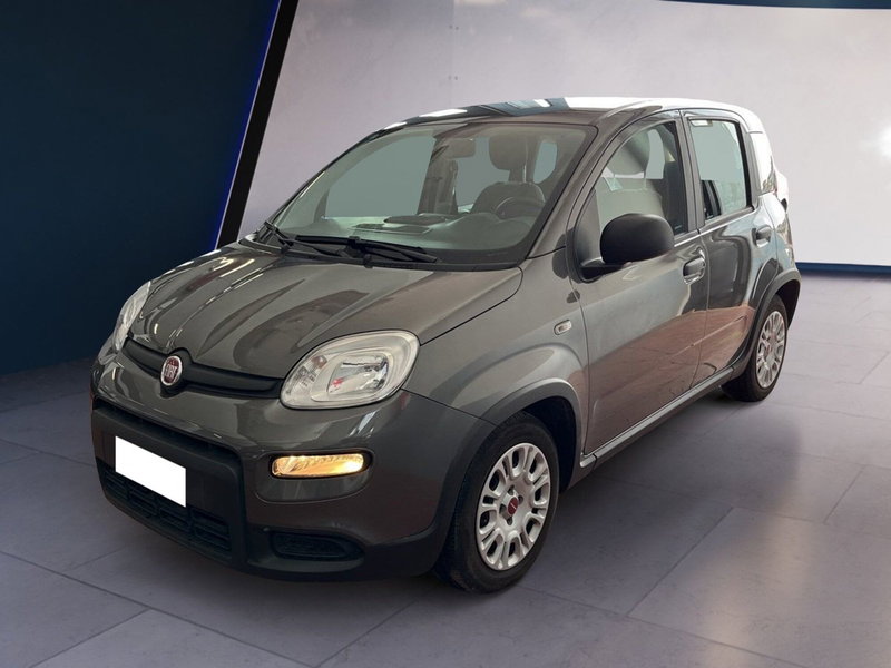 Fiat Panda Cross usata a Torino (3)