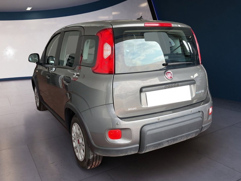 Fiat Panda Cross usata a Torino (4)