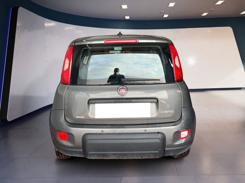 Fiat Panda Cross usata a Torino (5)