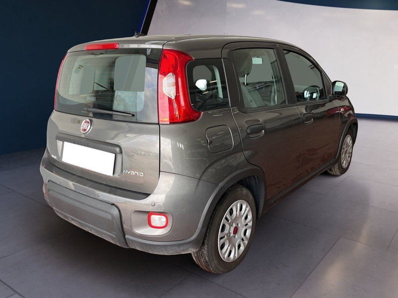 Fiat Panda Cross usata a Torino (6)