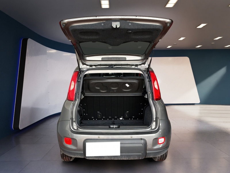 Fiat Panda Cross usata a Torino (7)