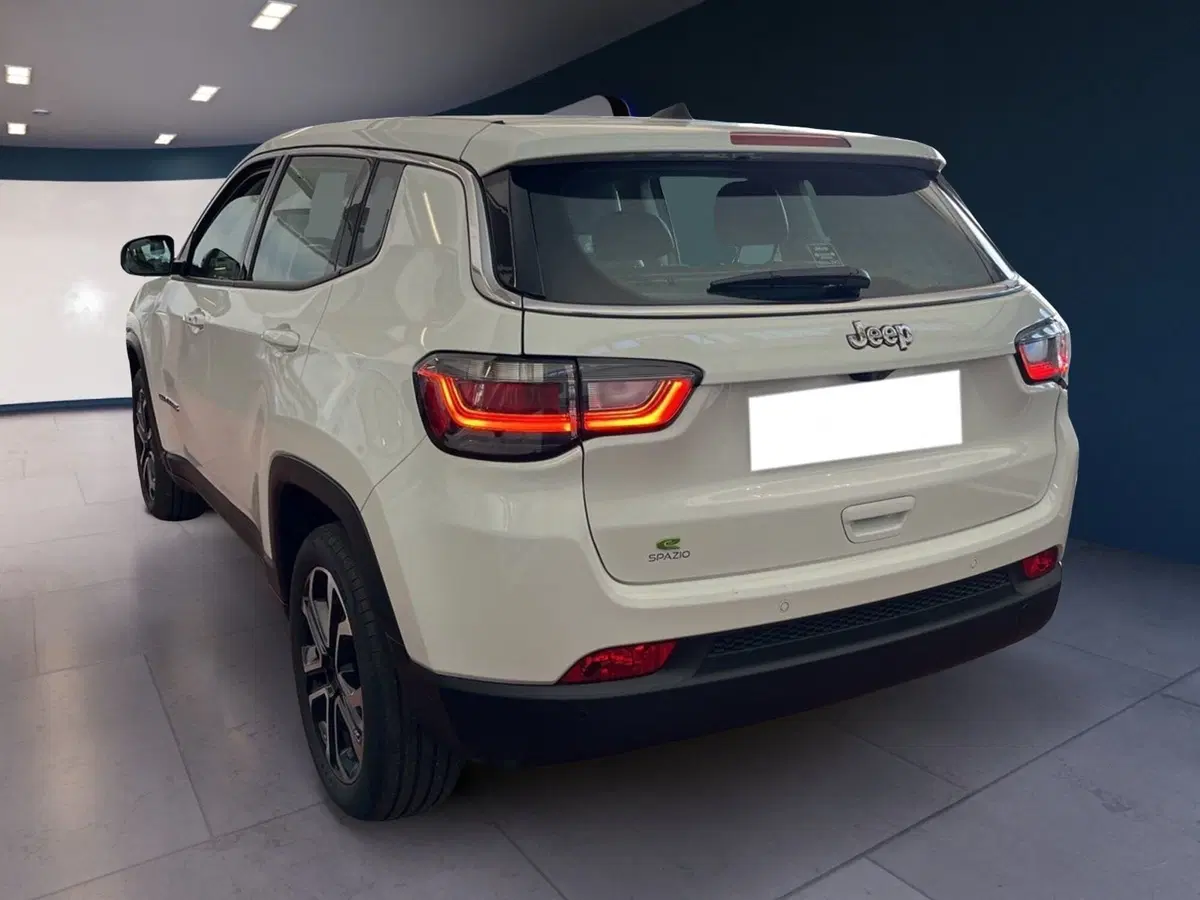 Jeep Compass usata a Torino (4)