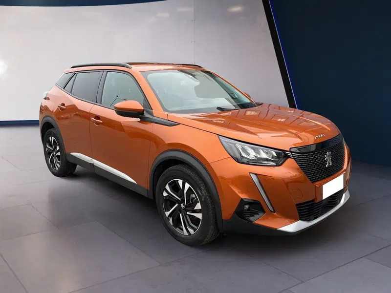Peugeot 2008 usata a Torino (2)