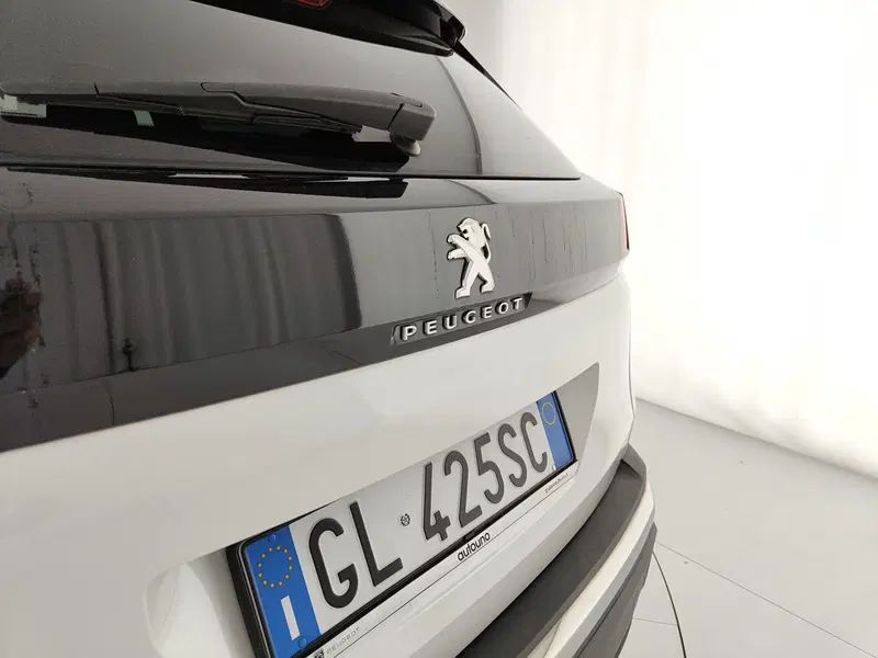 Peugeot 3008 usata a Caserta (11)