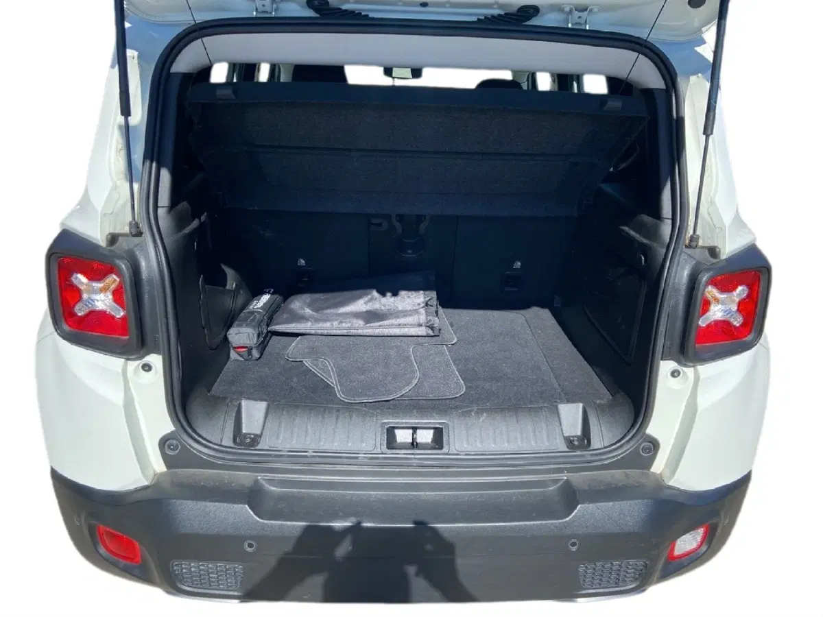 Jeep Renegade usata a Campobasso (14)