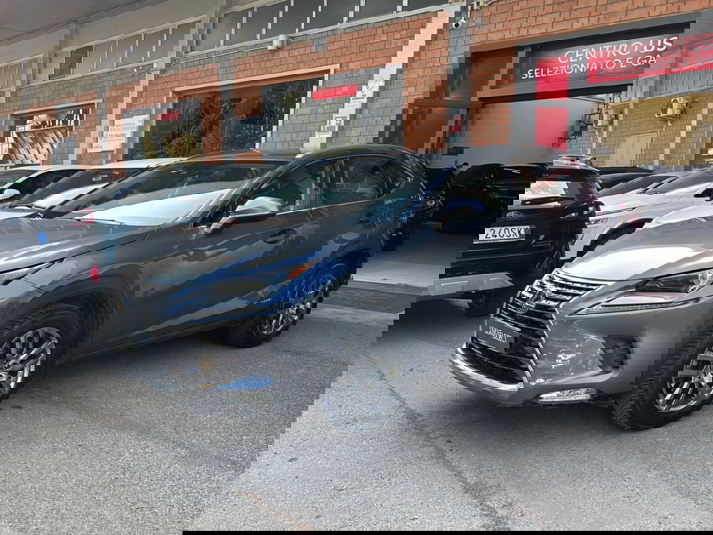 Lexus NX usata a Bologna (3)