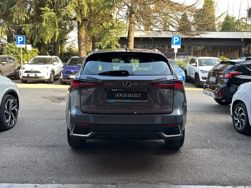 Lexus NX usata a Bologna (4)