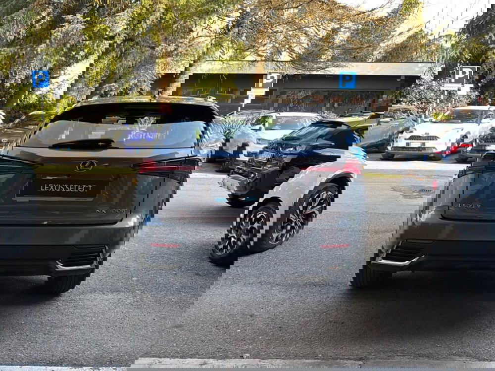 Lexus NX usata a Bologna (4)