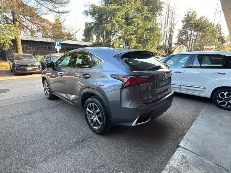 Lexus NX usata a Bologna (5)