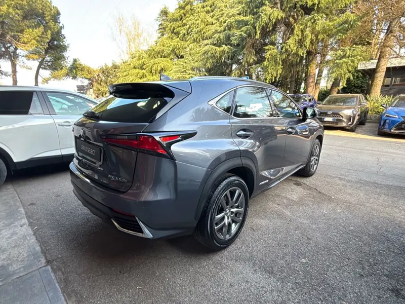Lexus NX usata a Bologna (6)