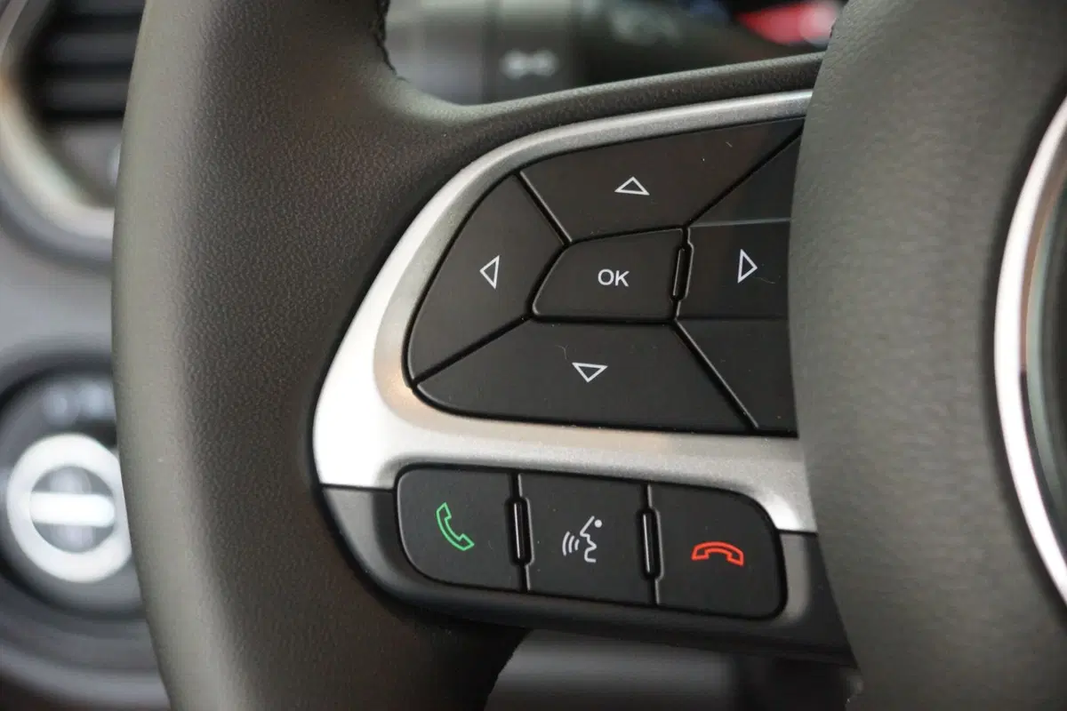 Jeep Renegade usata a Torino (12)