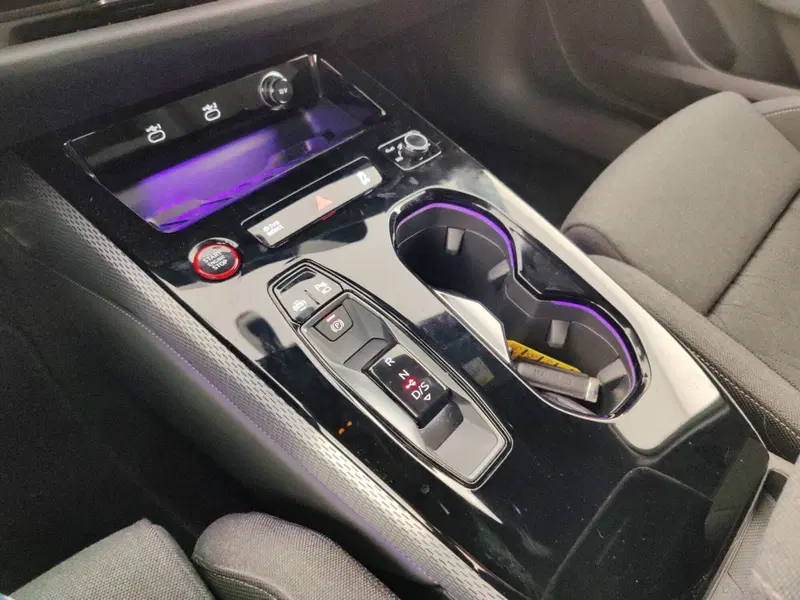 Audi A5 Avant usata a La Spezia (13)