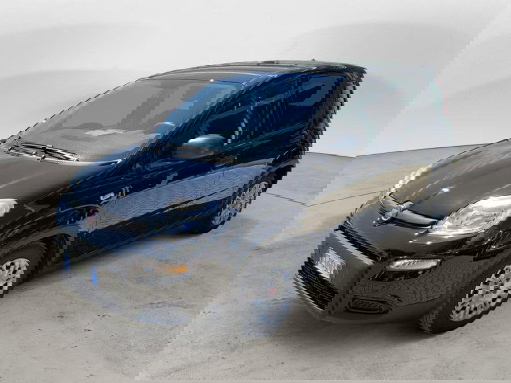 Fiat Panda Cross usata a Perugia