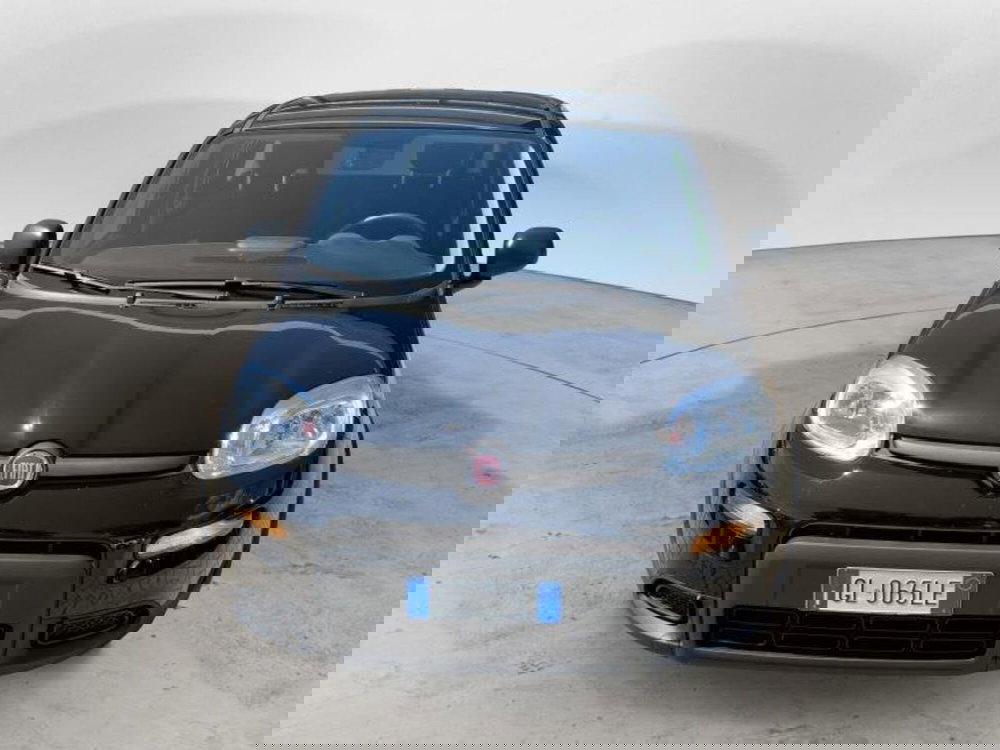 Fiat Panda Cross usata a Perugia (4)