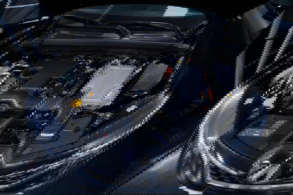 Renault Arkana usata a Torino (11)