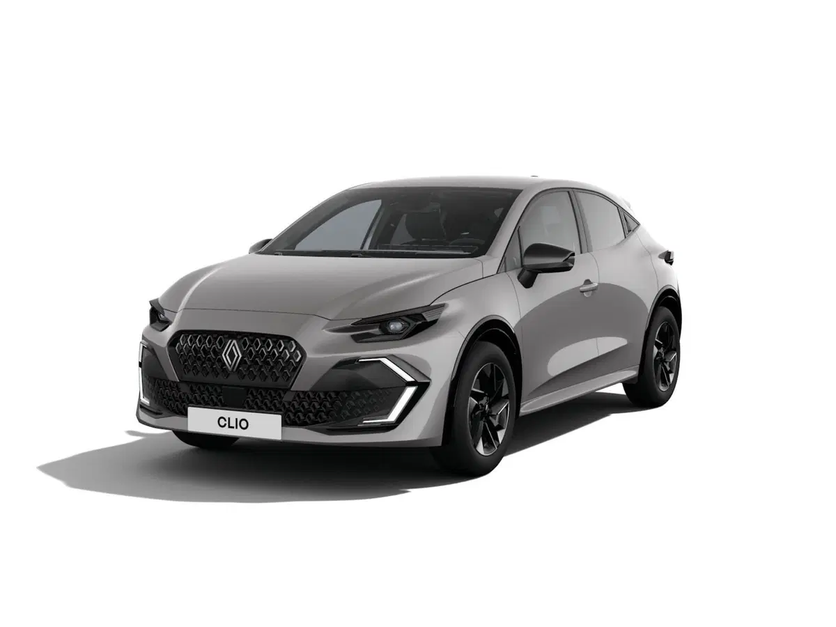 Renault Clio usata a Torino