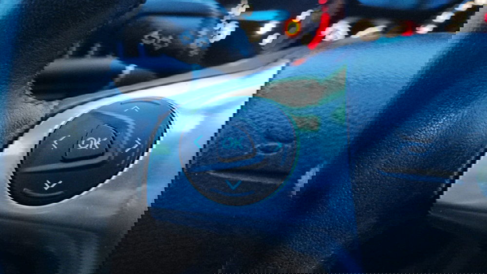 Ford C-Max usata a Firenze (16)