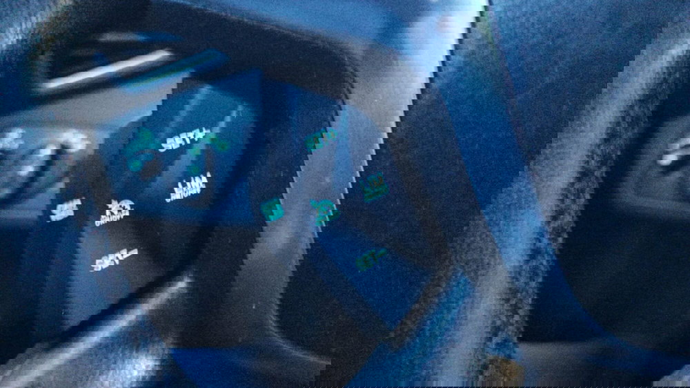 Ford C-Max usata a Firenze (19)