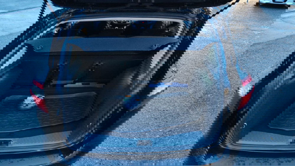 Ford C-Max usata a Firenze (8)