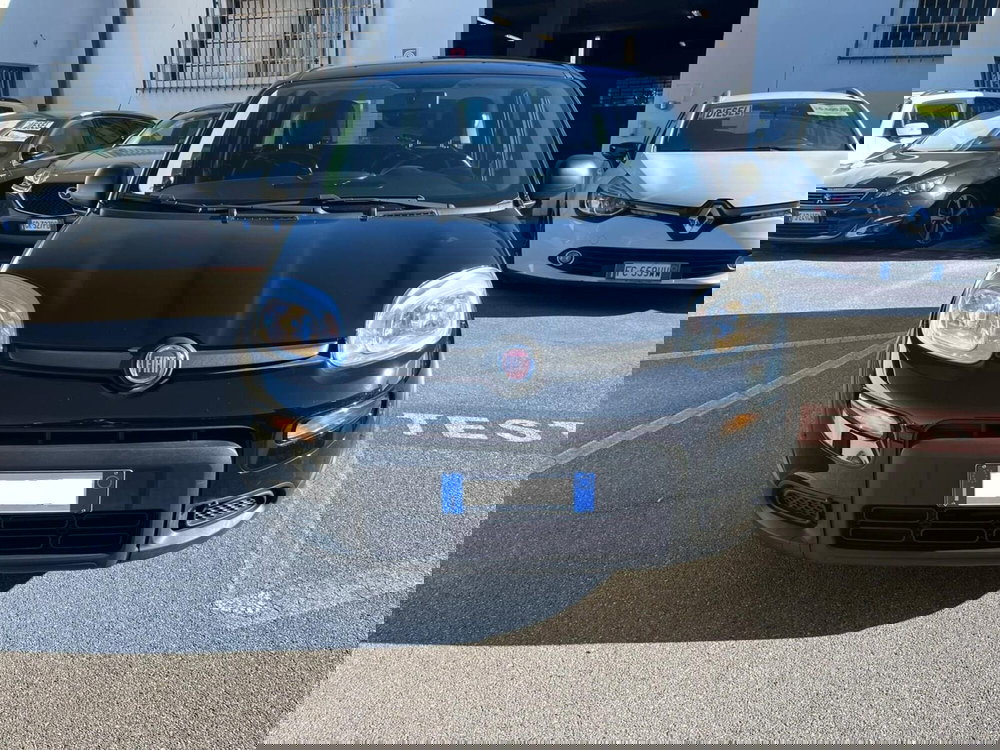 Fiat Panda Cross usata a Lucca (2)