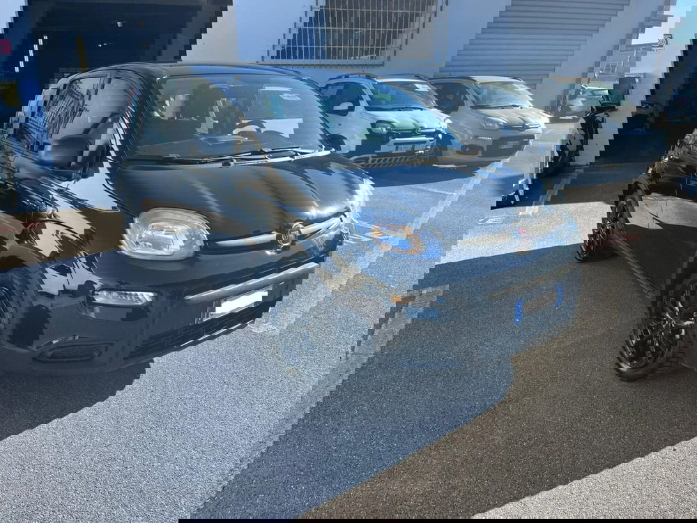 Fiat Panda Cross usata a Lucca (3)