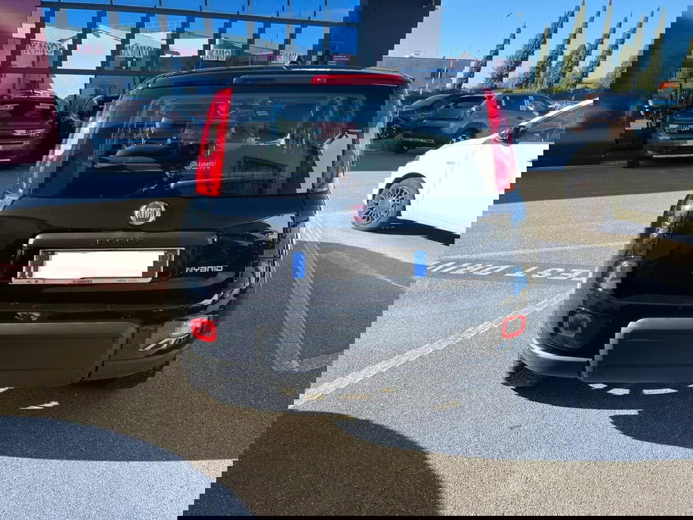 Fiat Panda Cross usata a Lucca (6)