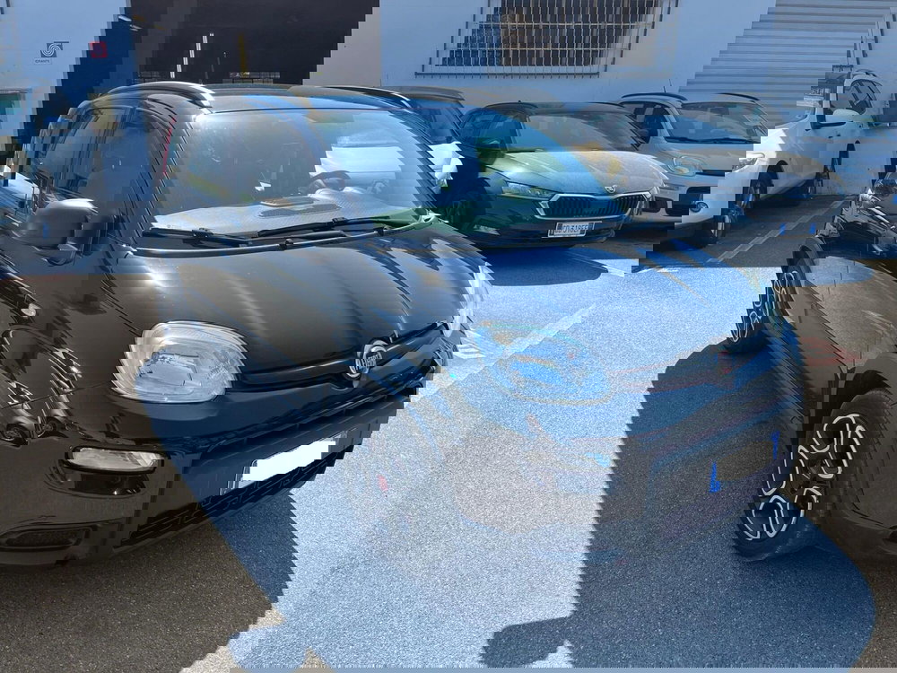 Fiat Panda usata a Lucca (3)