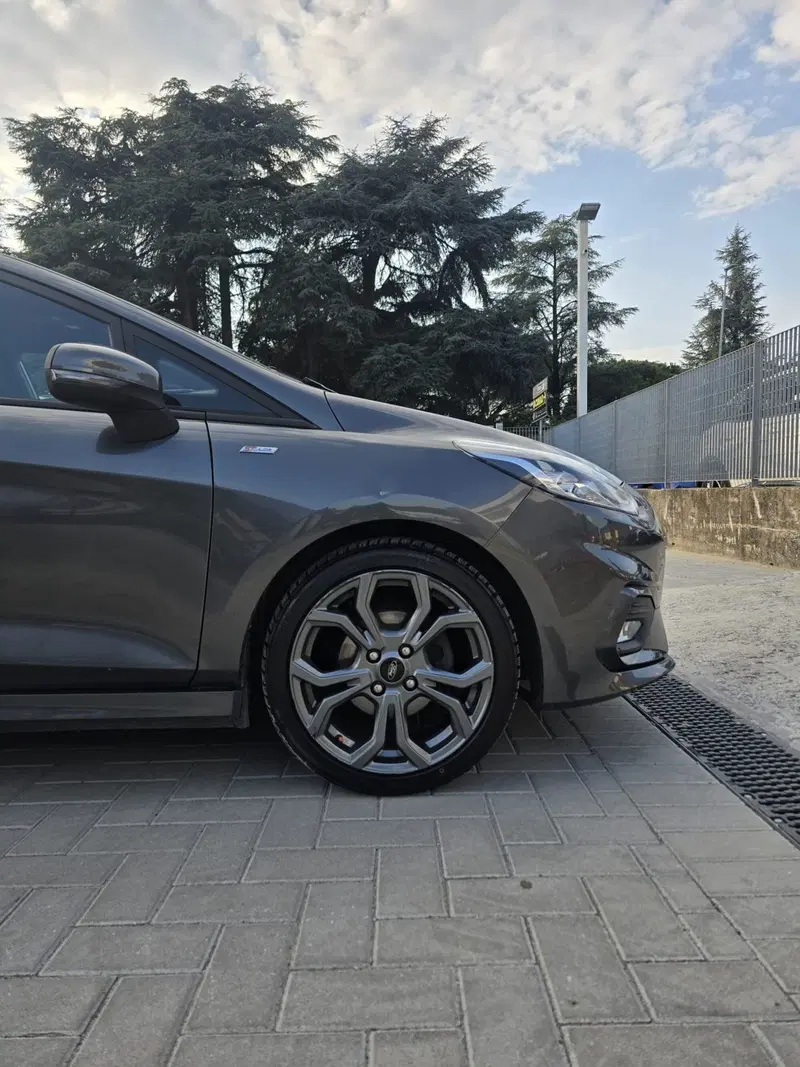 Ford Fiesta usata a Massa-Carrara (13)