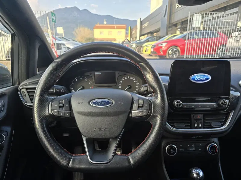 Ford Fiesta usata a Massa-Carrara (15)