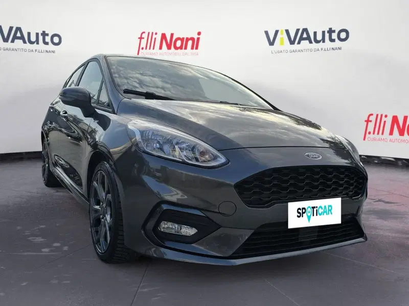 Ford Fiesta usata a Massa-Carrara (16)