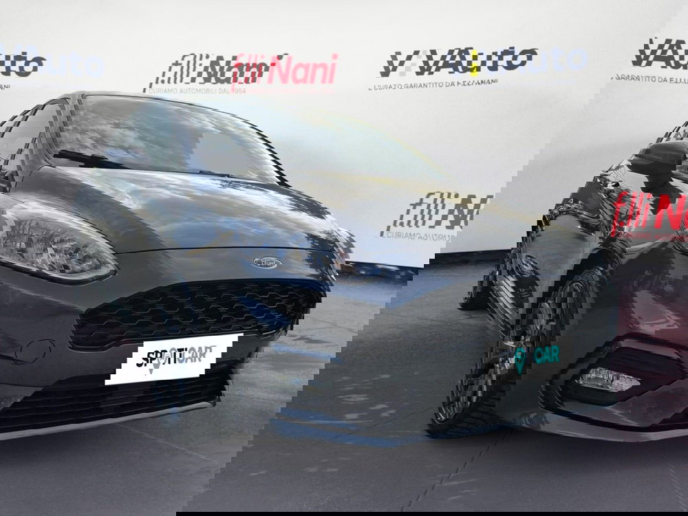 Ford Fiesta usata a Massa-Carrara (16)
