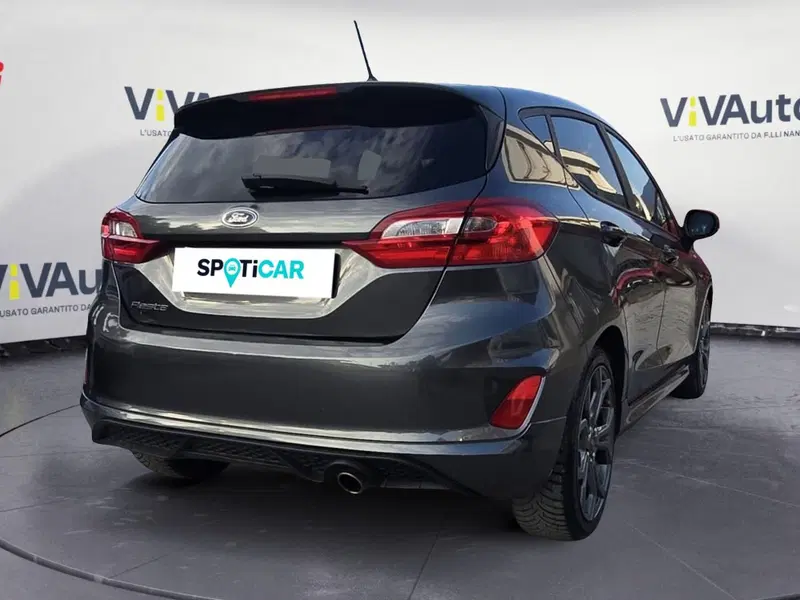 Ford Fiesta usata a Massa-Carrara (2)