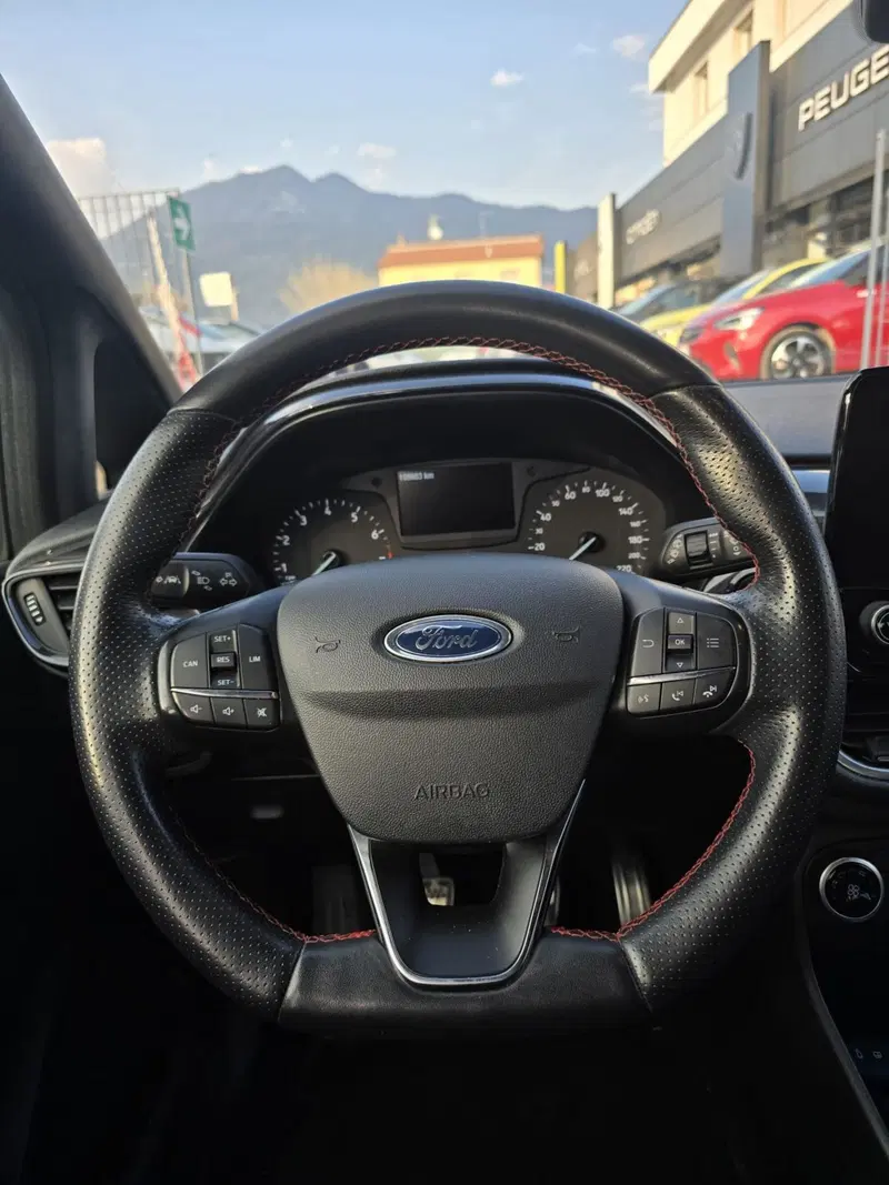 Ford Fiesta usata a Massa-Carrara (20)