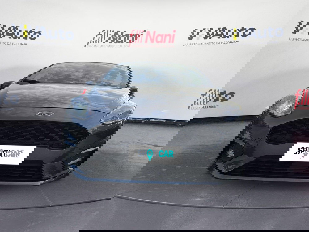 Ford Fiesta usata a Massa-Carrara (4)