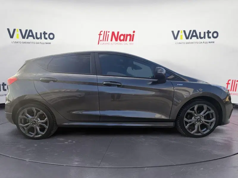 Ford Fiesta usata a Massa-Carrara (7)
