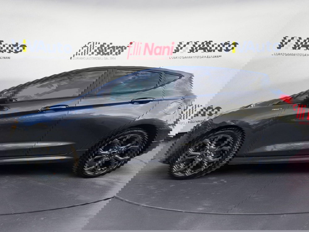 Ford Fiesta usata a Massa-Carrara (8)