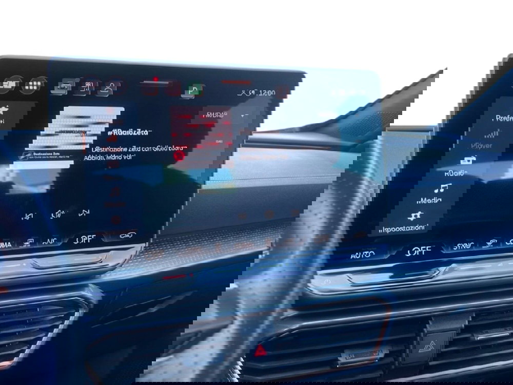 Cupra Formentor usata a Roma (18)