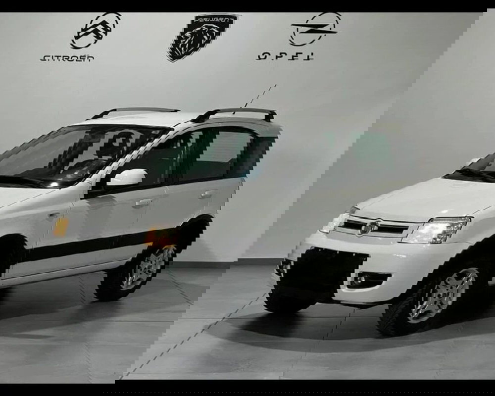 Fiat Panda usata a Alessandria