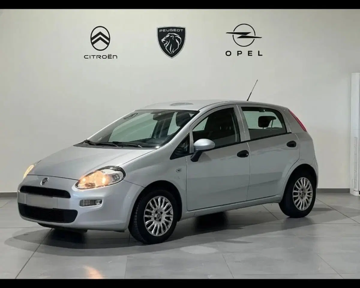 Fiat Punto usata a Alessandria