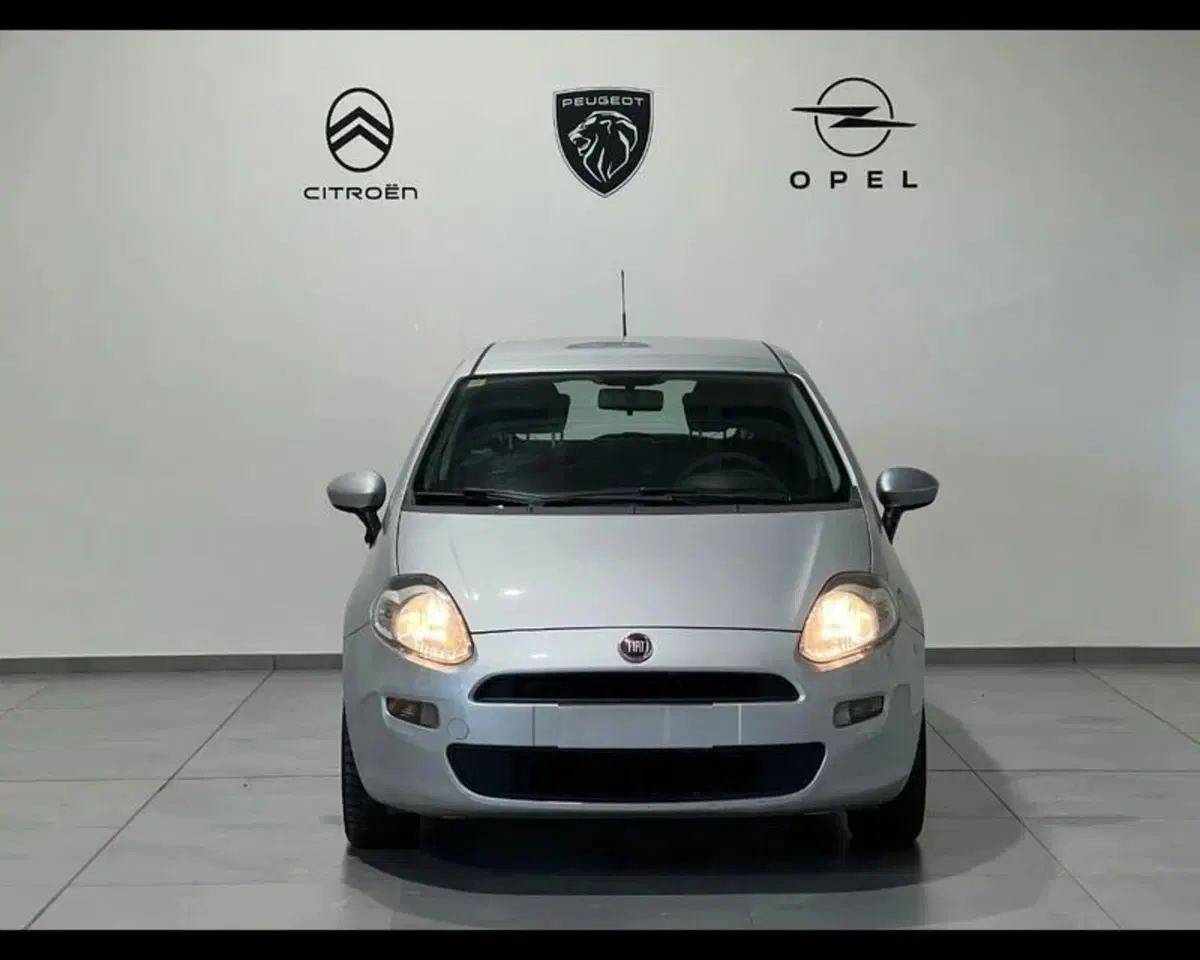 Fiat Punto usata a Alessandria (2)