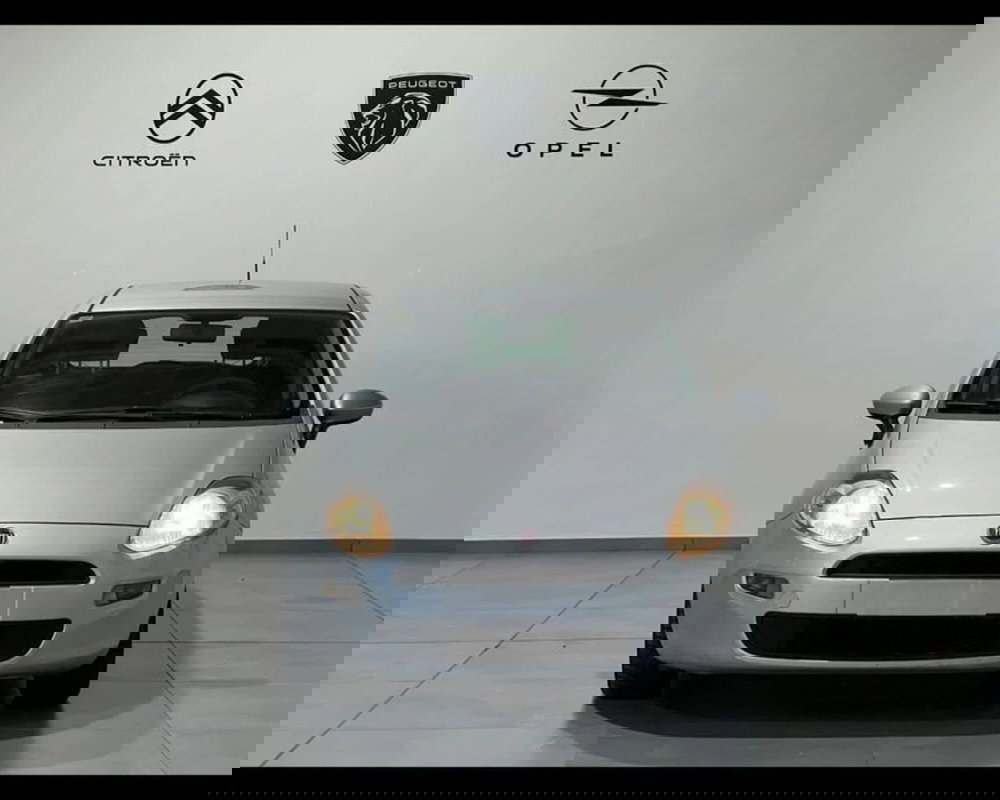 Fiat Punto usata a Alessandria (2)