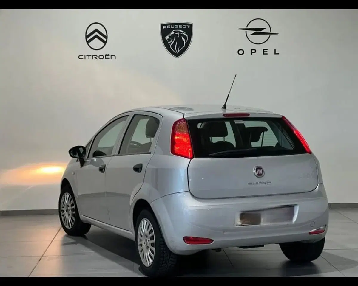 Fiat Punto usata a Alessandria (3)