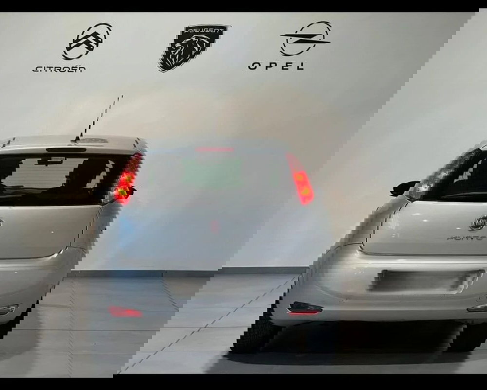 Fiat Punto usata a Alessandria (4)