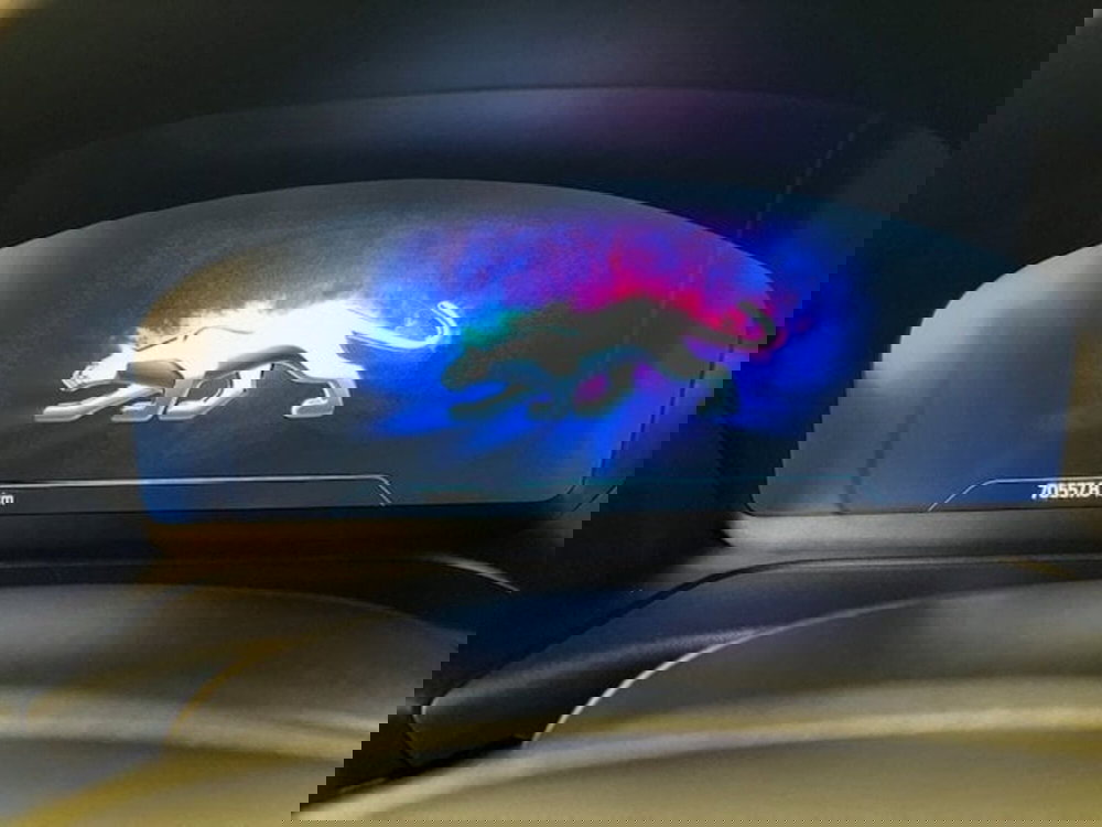 Ford Puma usata a Alessandria (8)