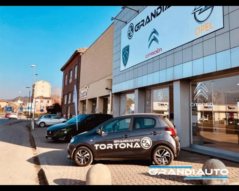 Jeep Renegade usata a Alessandria (10)