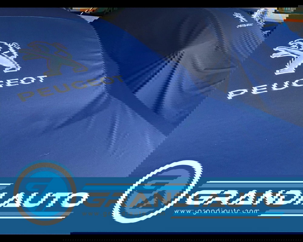 Jeep Renegade usata a Alessandria (11)