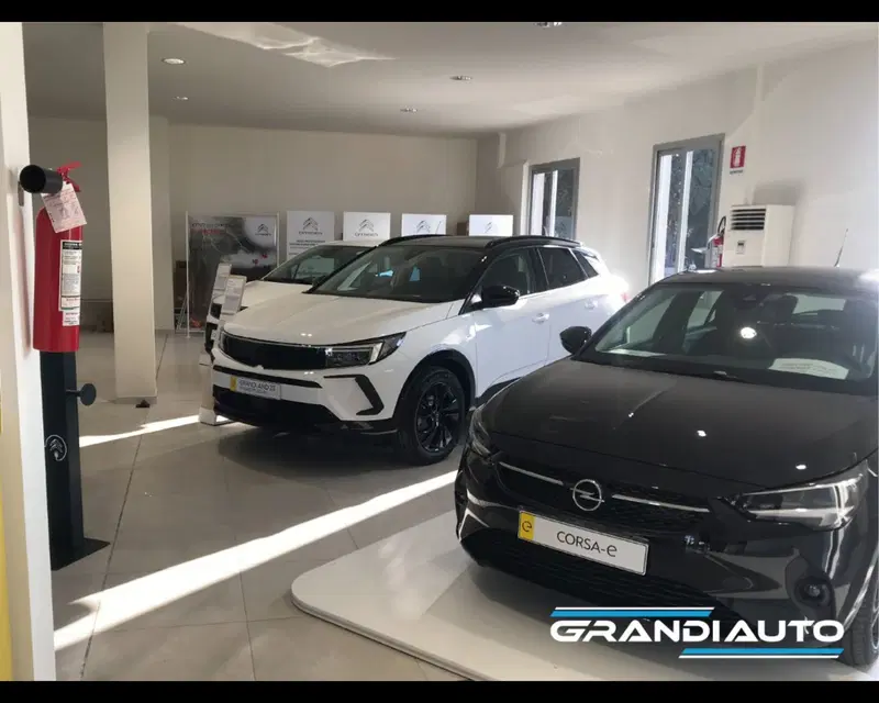Jeep Renegade usata a Alessandria (12)