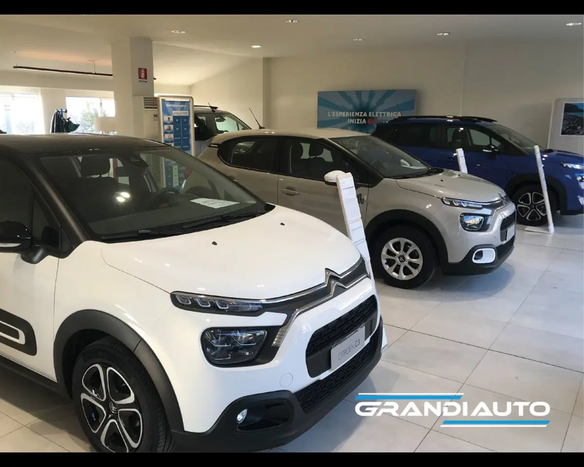 Jeep Renegade usata a Alessandria (13)